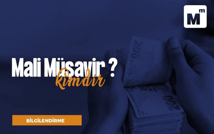 Mali Müşavir Kimdir?